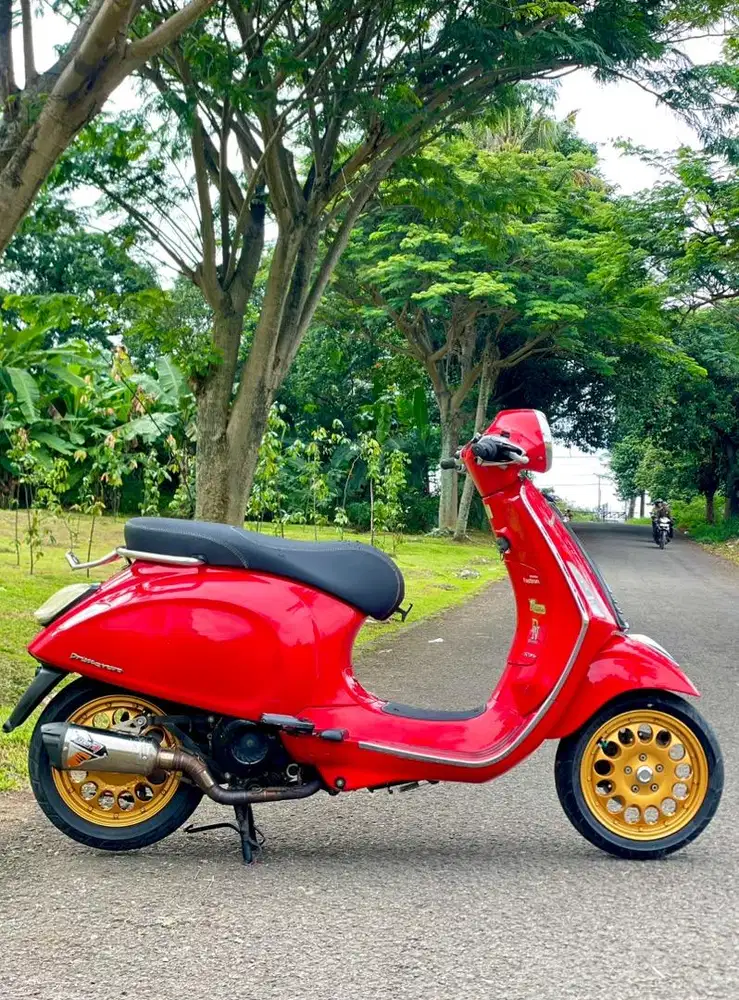 Vespa primavera