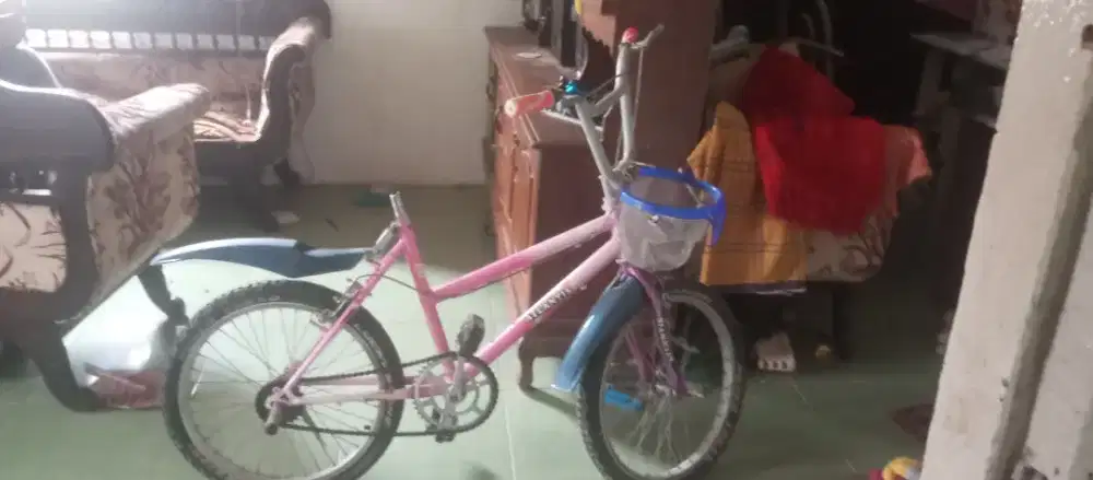 Sepeda anak cewek