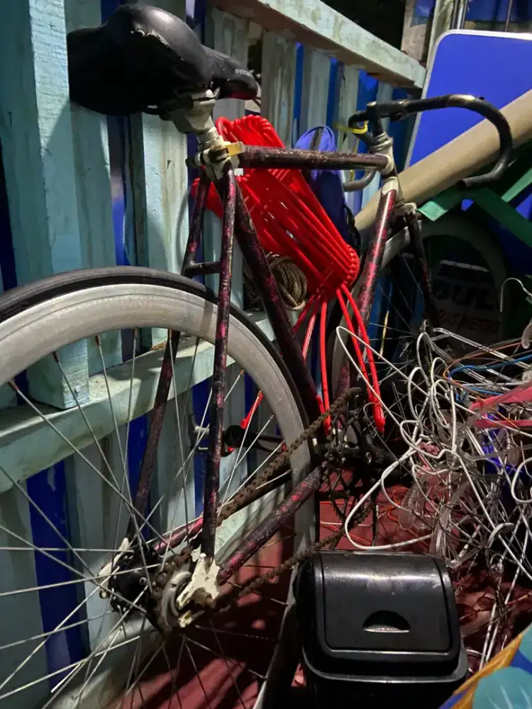 Sepeda Fixie bekas