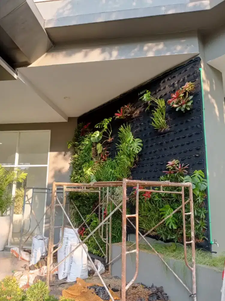 Vertical garden pohon asli