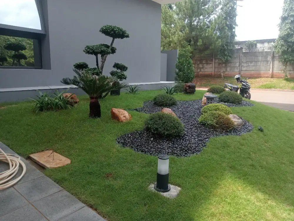 Jual rumput dan taman