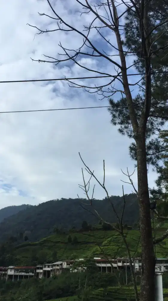 Mencari pekerjaan parttime