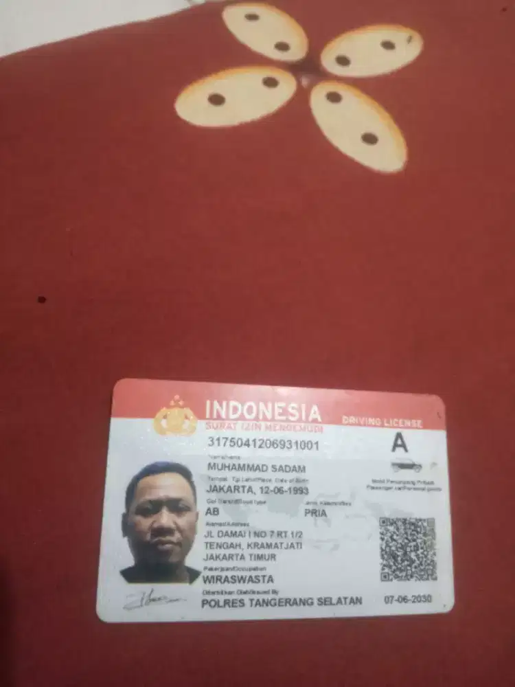 Driver/supir pribadi berpengalaman..