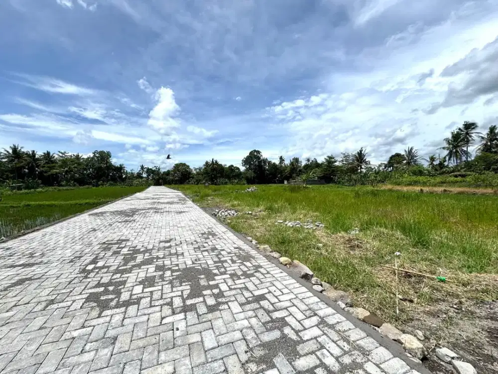 Dekat Jl Palagan Sleman, Tanah Murah Siap Bangun