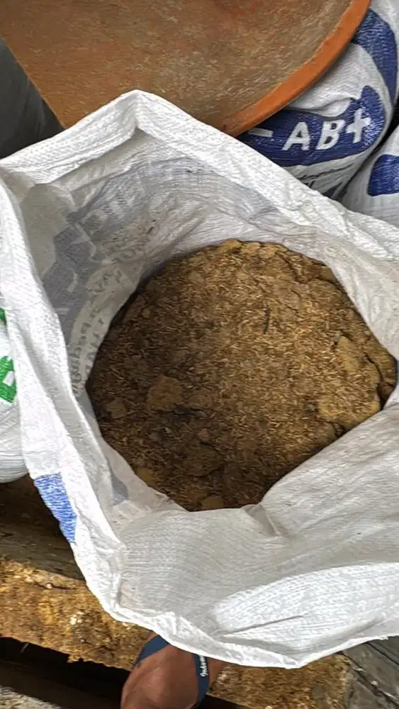 Jual kohe kotoran ayam buat pupuk