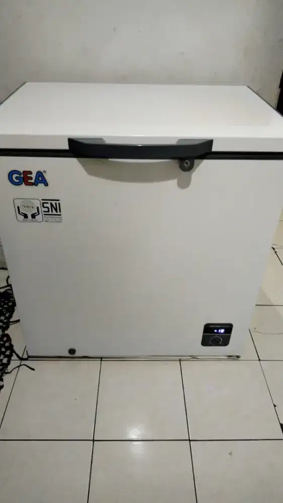 Freezer GEA 200Liter