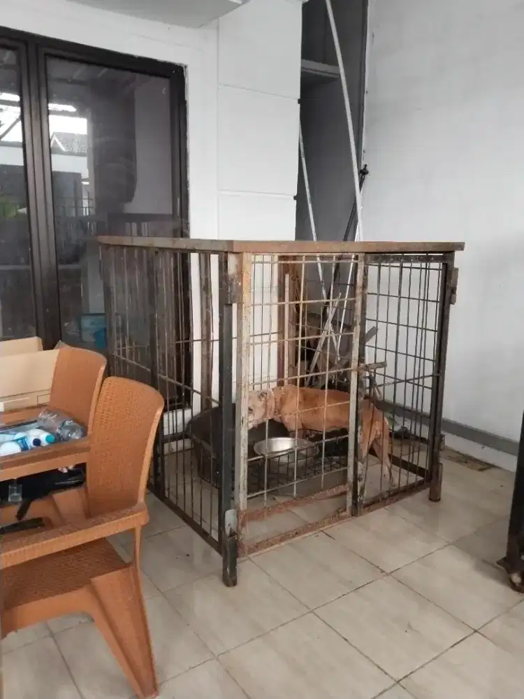 FOR SALE Kandang Besi besar knockdown