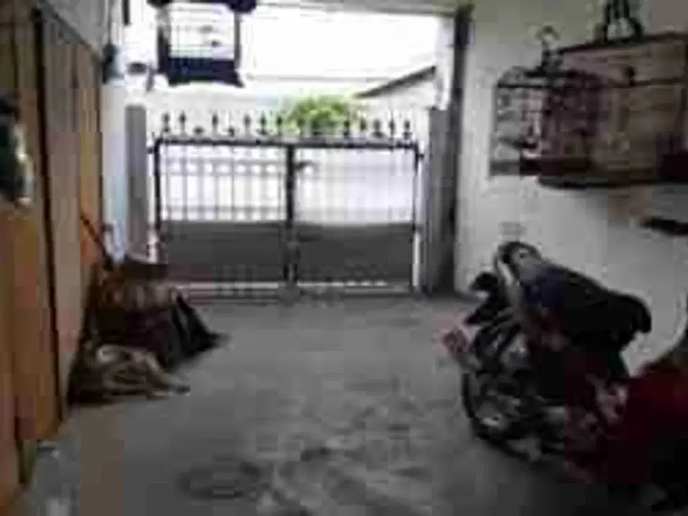 DIJUAL RUMAH 

PERUM GRIYA MAPAN SENTOSA BLOK EF NO 46
KEL. : TAMBAK SAWAH
KEC  : WARU
KAB  : SIDOARJO