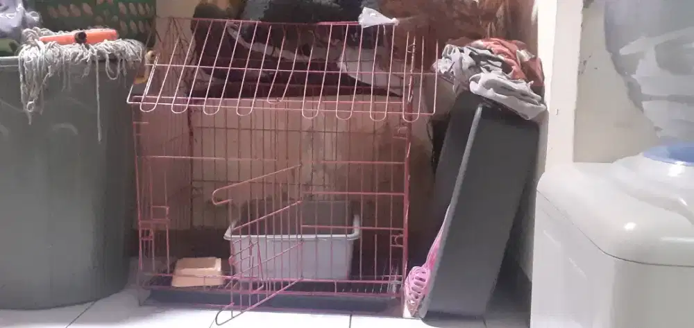 Murah!! Kandang kucing besar