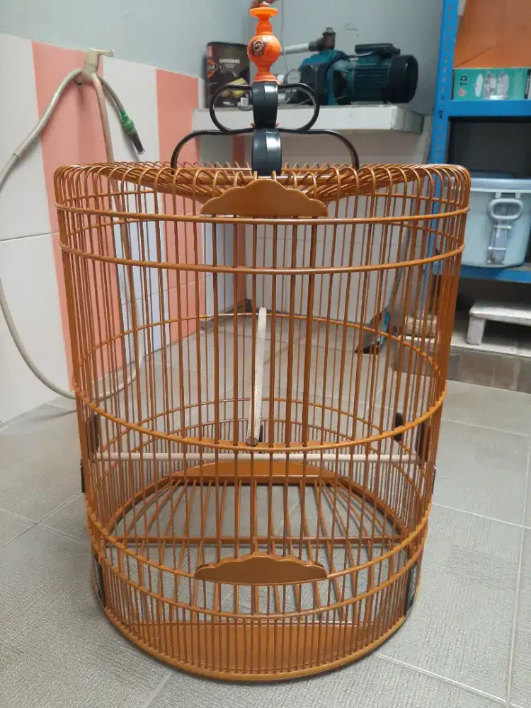 Kandang ebod nomer 3 klimis