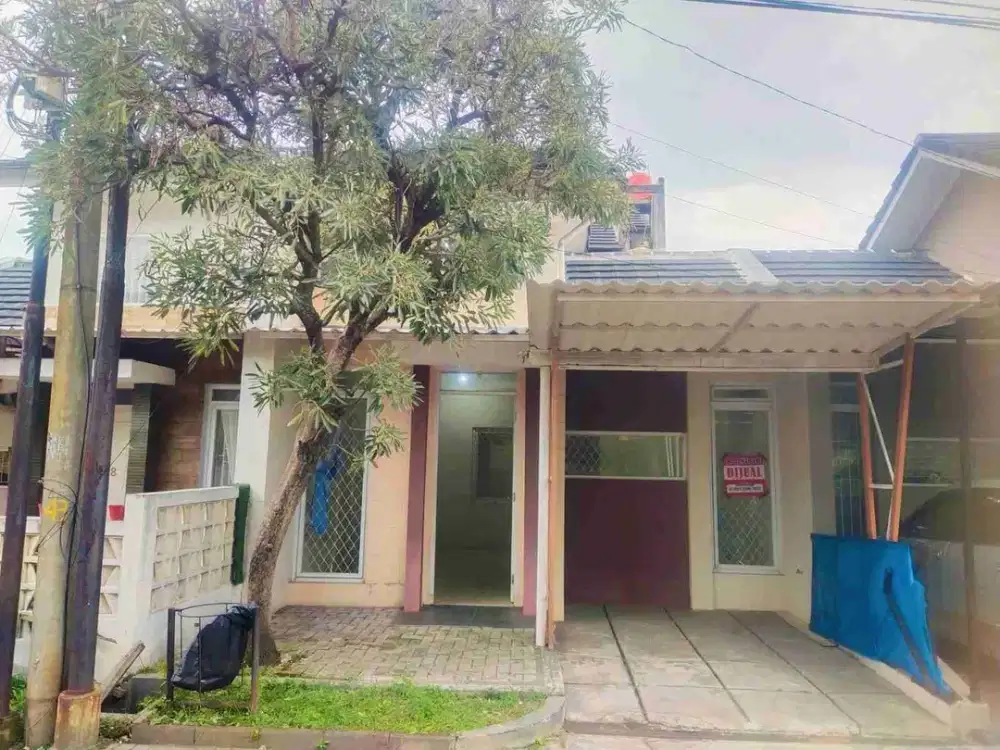 PINUS REGENCY MURAH 675JT NEGO