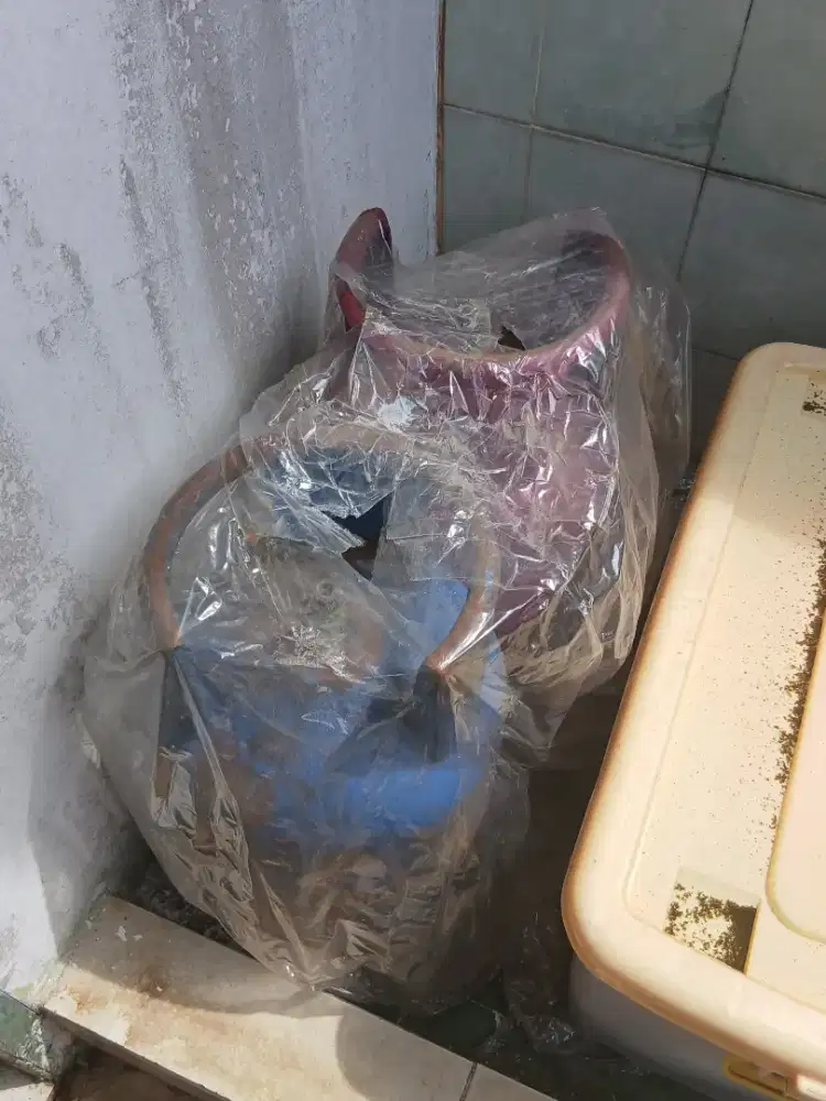 tabung gas 12KG