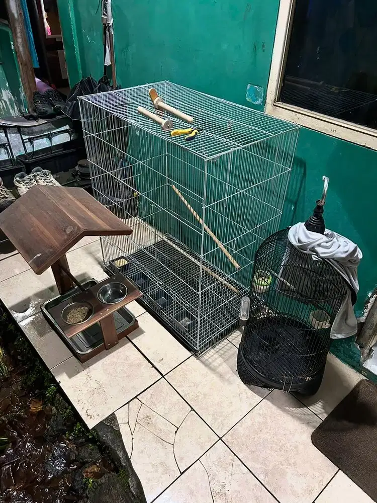 Kandang Burung Bagus