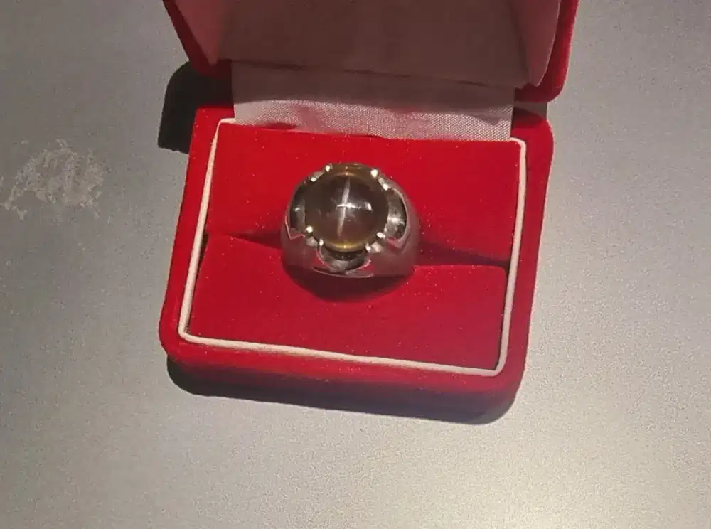 Natural Star Cat Eye Smoky Quartz