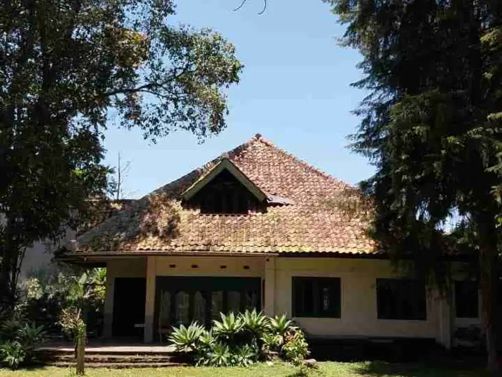 COCOK UNTUK CAFE KANTOR HOTEL RUMAH KLASIK BELANDA TENGAH KOTA LEMBANG HARGA ASAL 22 MILYAR SEKARANG 14 MILYAR