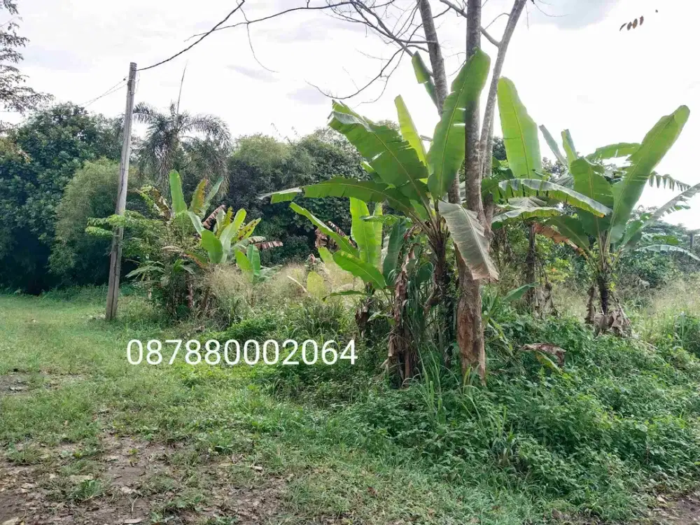 jual cepat murah tanah kavling graha cinere depok upn limo