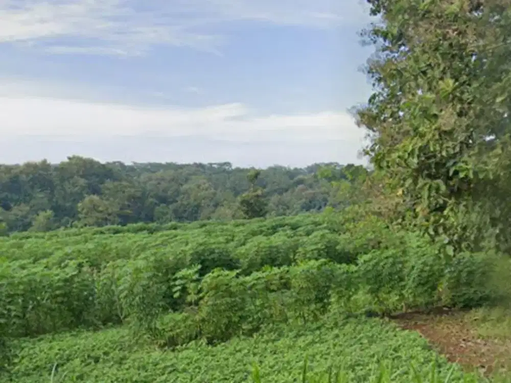 Dijual Lahan Zona Kuning Lokasi Wonogiri Luas 2,1 Ha