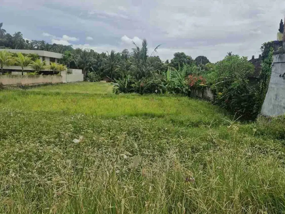 Tanah Luas Kawasan Villa Mewah Pejeng Kawan Ubud