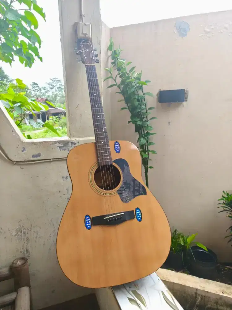 Gitar Yamaha Original F 310