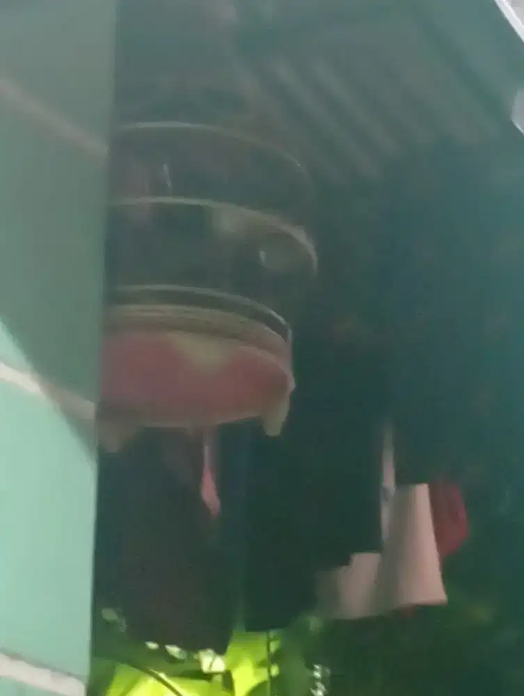 Perkutut cemani gacor