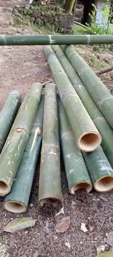Bambu Potong Serba Guna