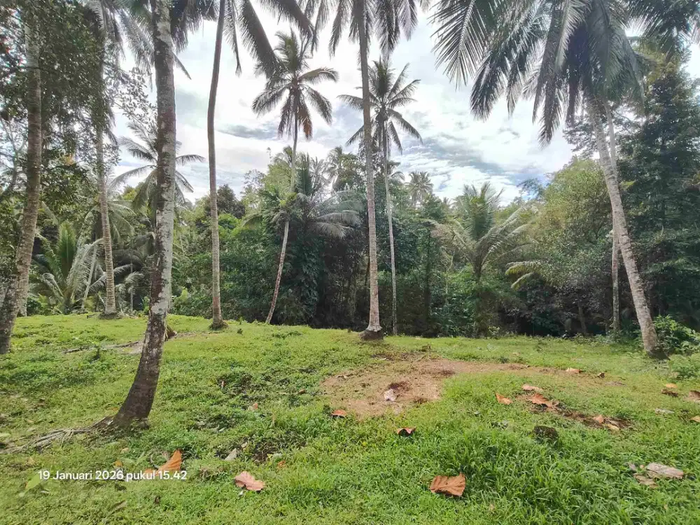 Tanah Kebun di Selemadeg Tabanan Bali