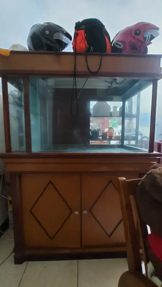 Akuarium(Aquarium) ikan Nego