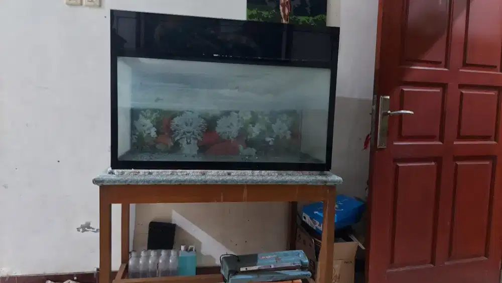 Akuarium(Aquarium) & meja Nego