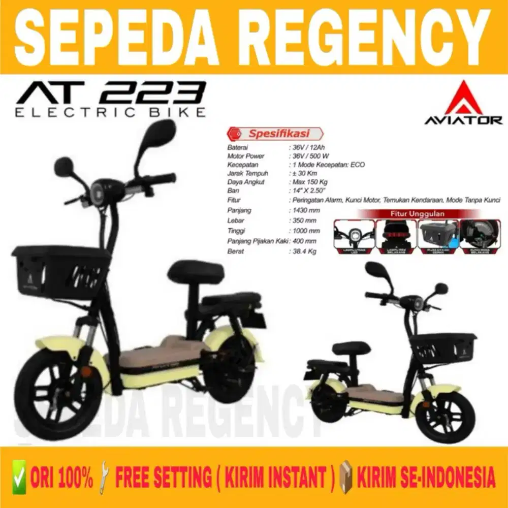 sepeda listrik Aviator  at223