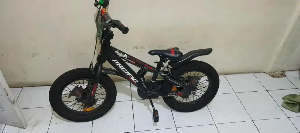 Sepeda Anak 15inc Pacific