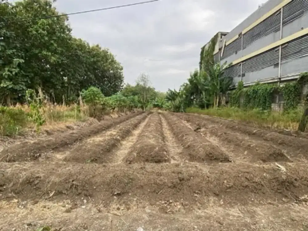 Di Jual Tanah 0 Jln Raya MADE