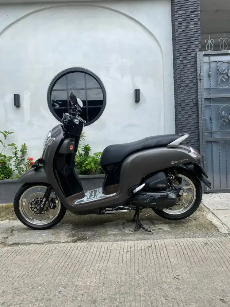 Scoopy         2018