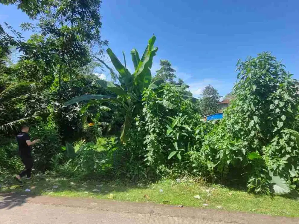 Tanah Siap Pakai di Pala Sari Curug