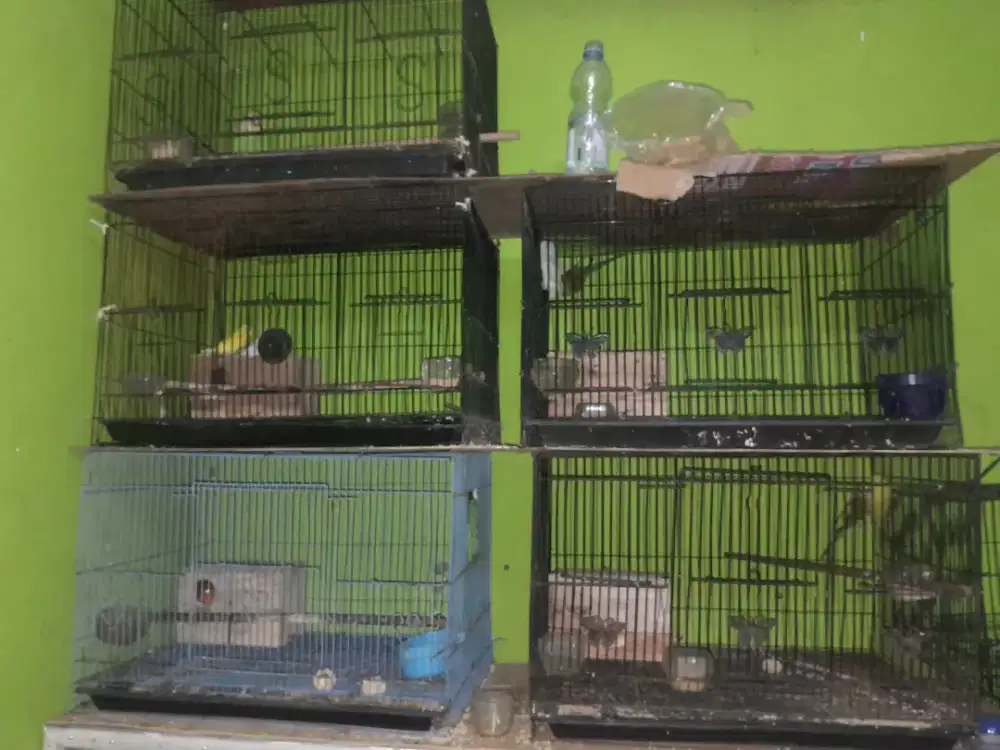 1 pasang parkit siap produksi