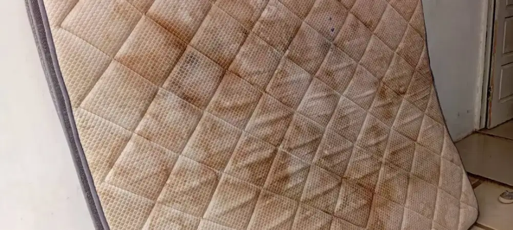 Jasa Panggilan Cuci Kasur,Sofa dll