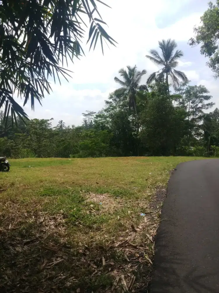 Tanah terasering murah