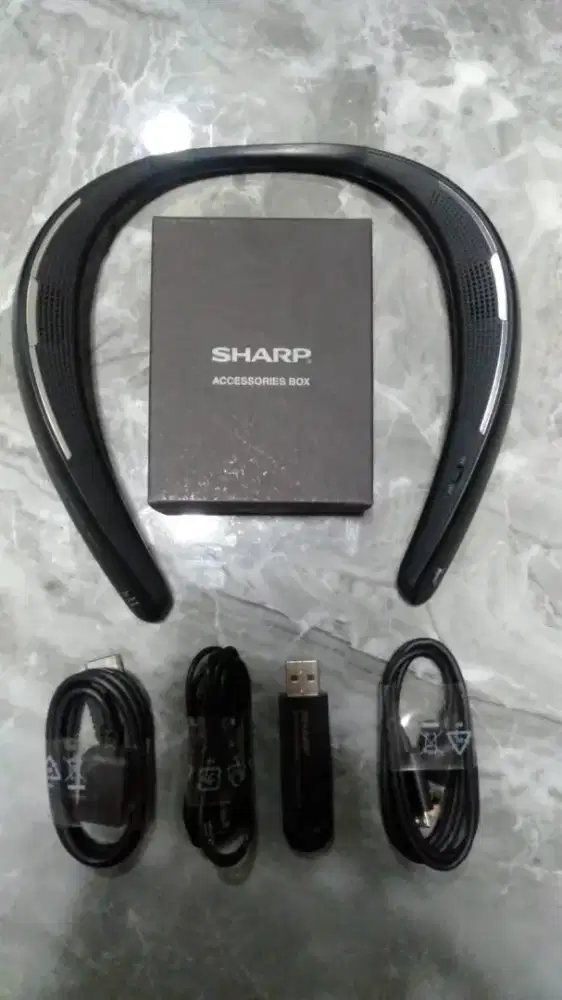 Sharp speaker blueetooh AN-SS1