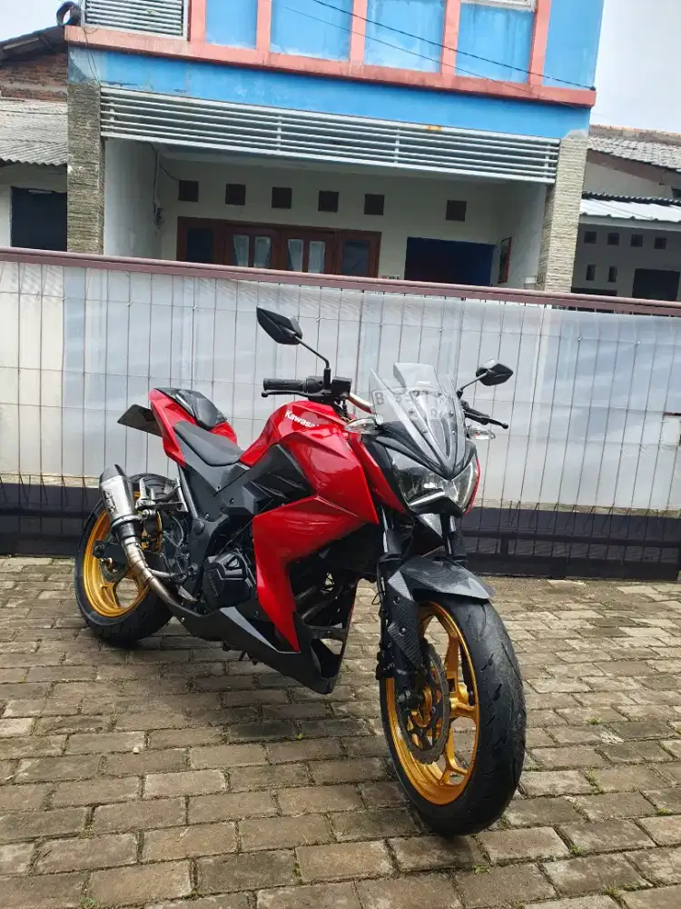 Kawasaki Z250 FI  2013