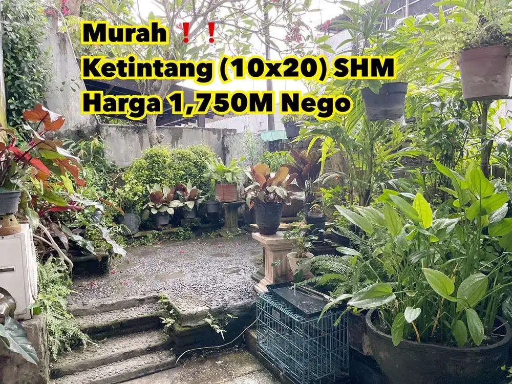 Hit tnh (10x20) di Ketintang dkt Gayungsari