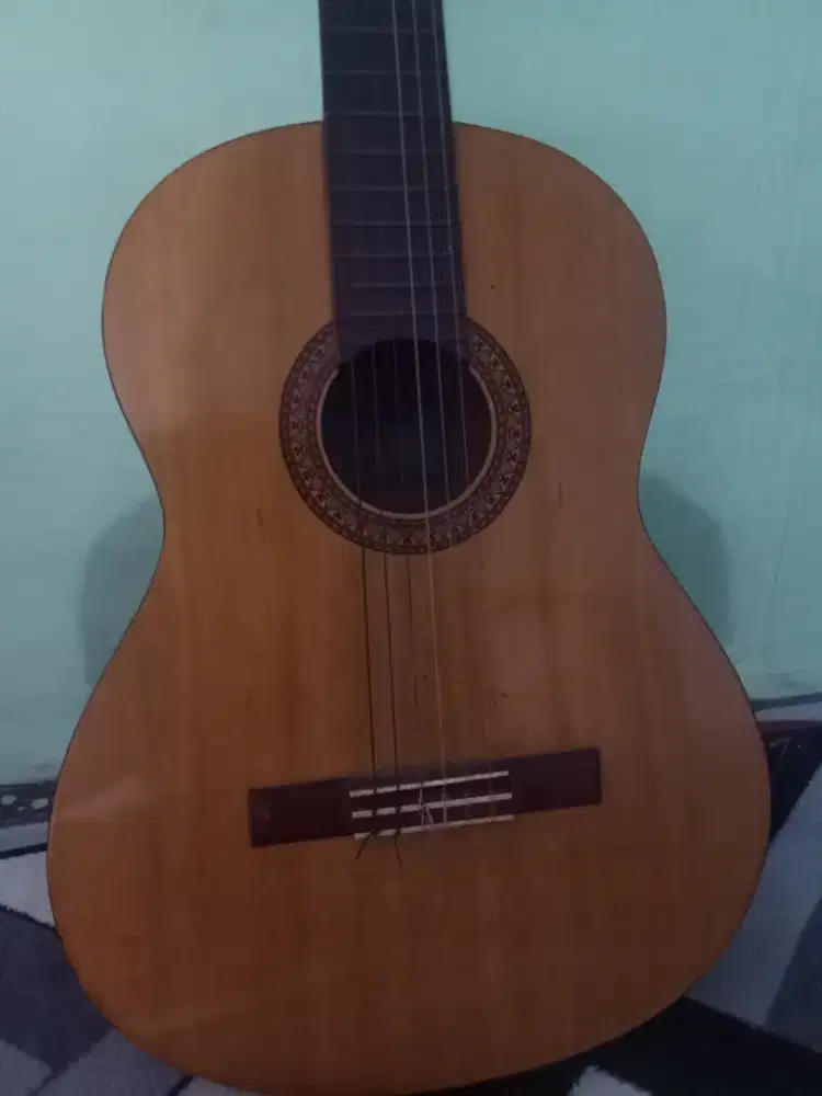 Gitar Yamaha C315