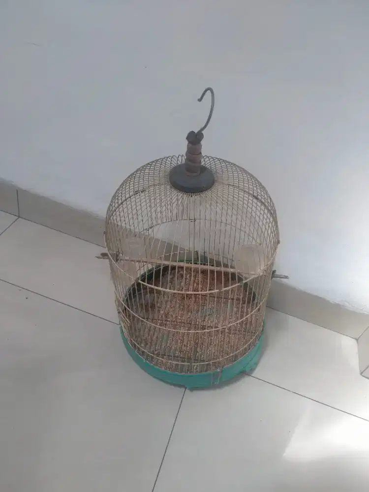 Kandang Burung / Sangkar Burung