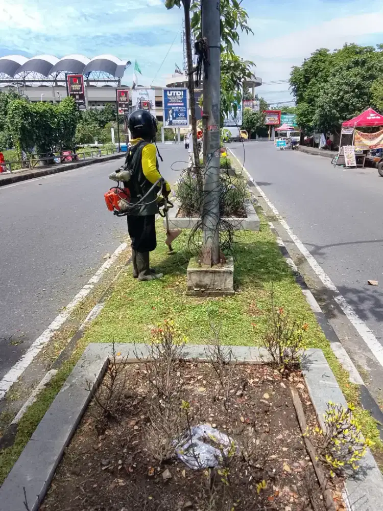 Jasa Bersih Rumput Sleman
