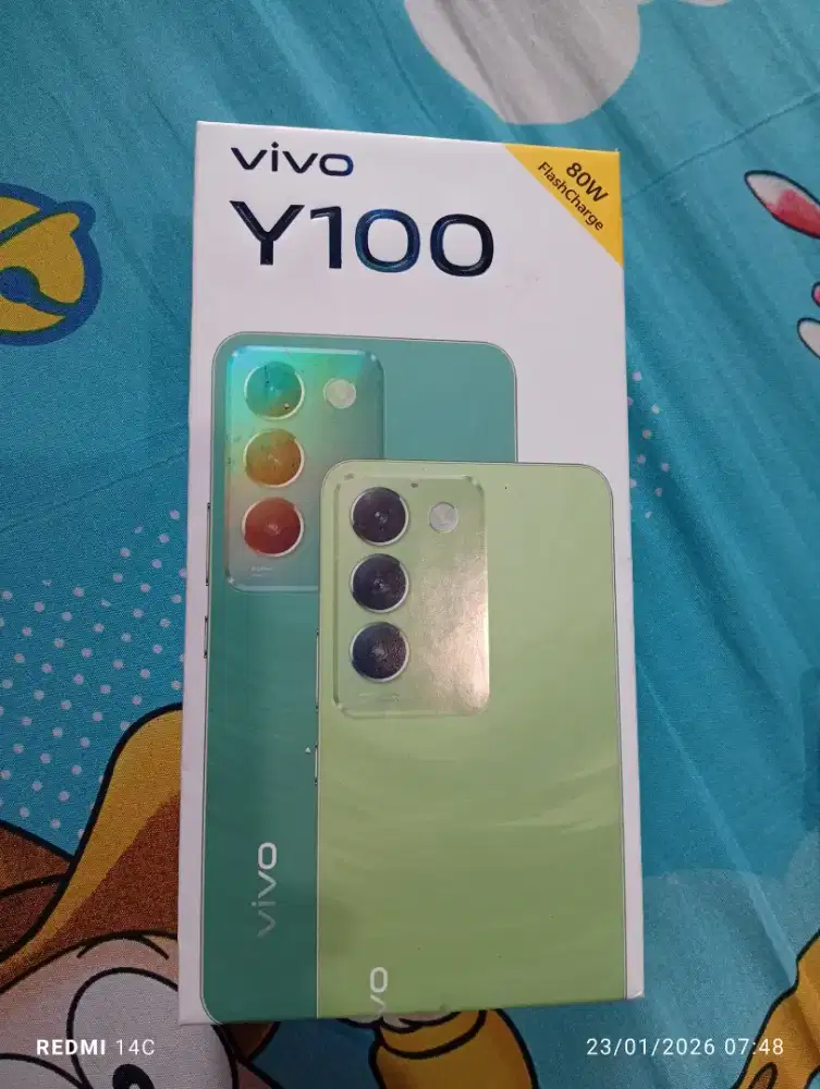 Vivo y100 8+8/256 GB