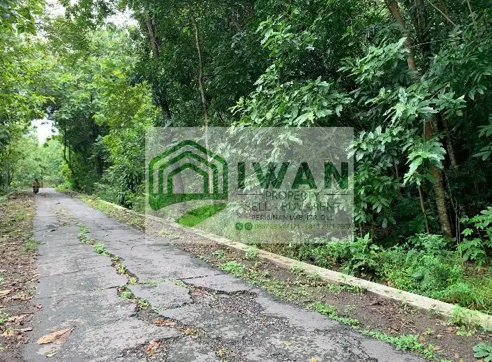 Tanah Kavling Luas Hadap Jalan Lebar Free BBN