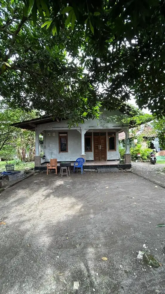 Dikontrakan Rumah