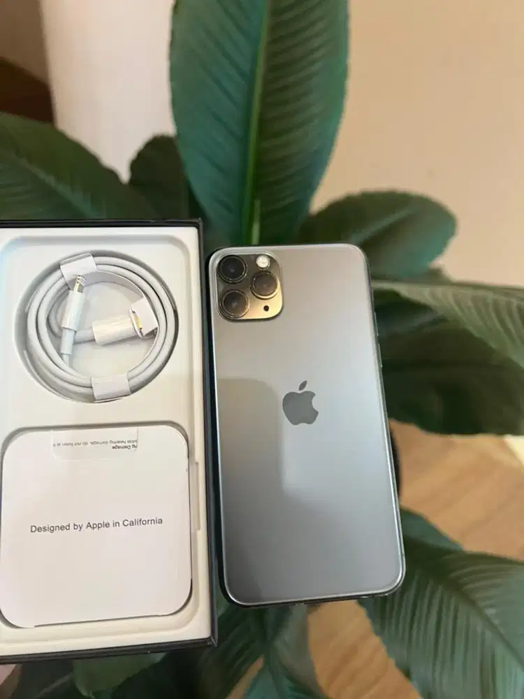 iphone 11 pro 256gb green aplle asoy