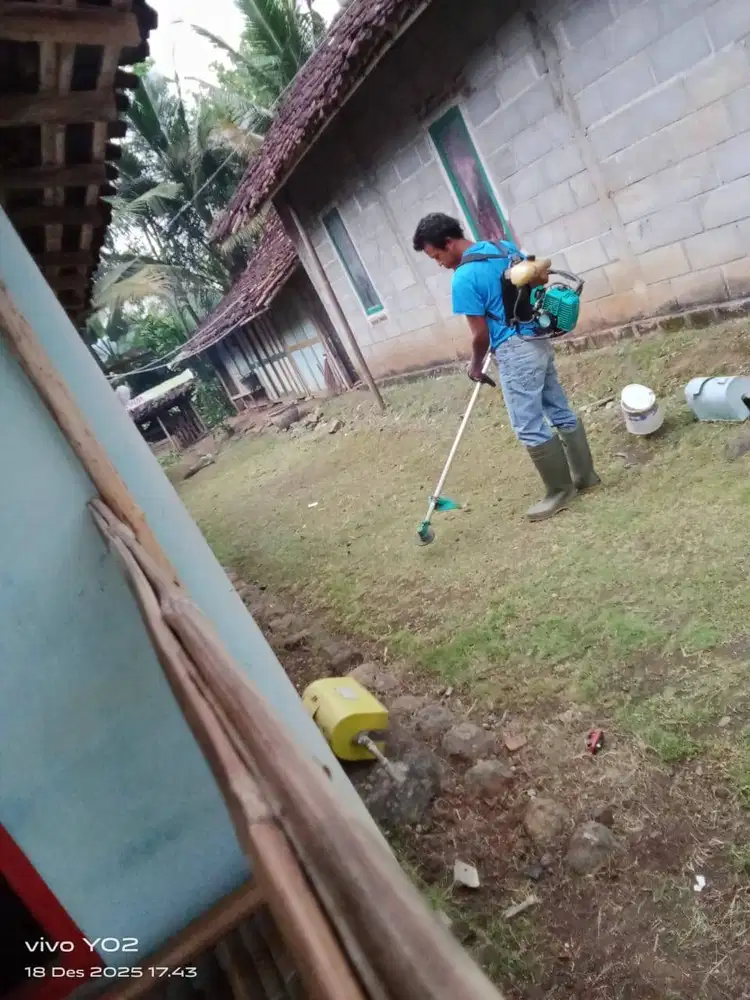 Jasa bersih halaman rumah dan kebun10001