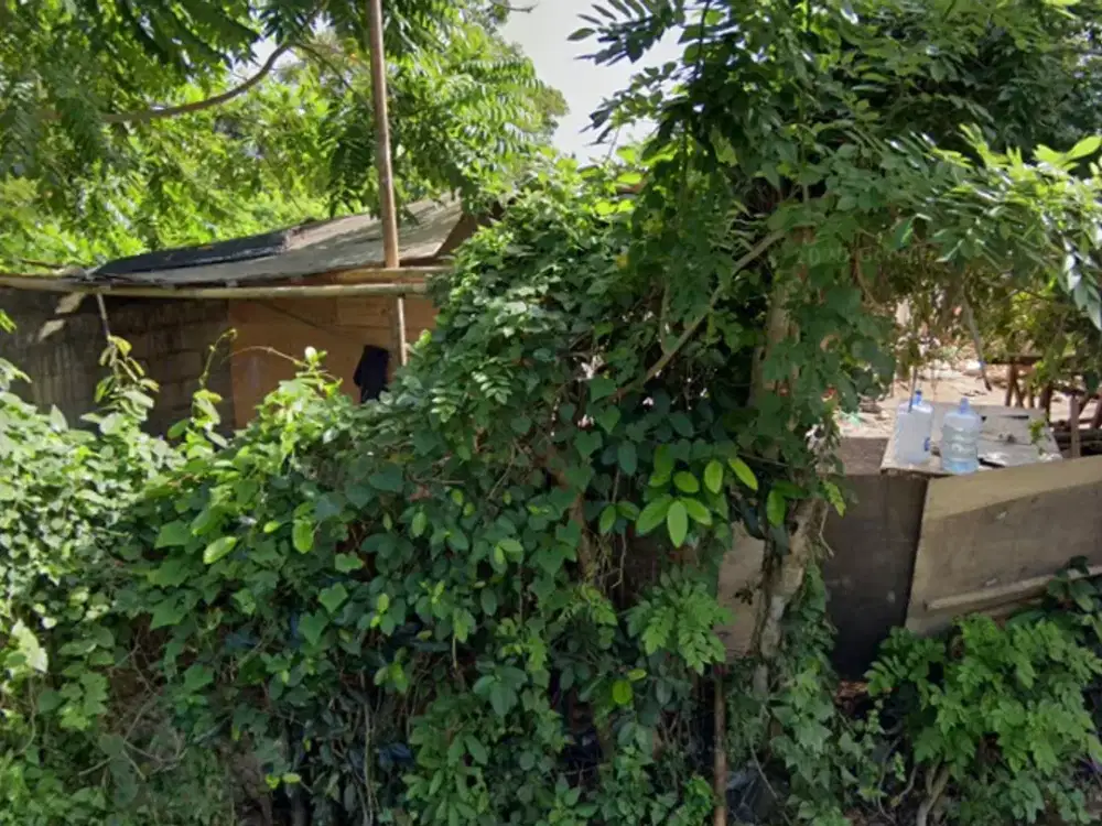 DISEWAKAN TANAH 6 ARE – HARGA 20 JT/ARE – LOKASI STRATEGIS