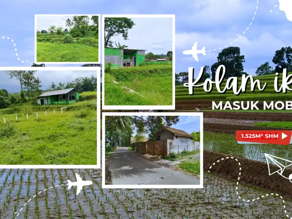 SAWAH PRODUKTIF DIJUAL ‼️ Pemandangan Alam Terbuka