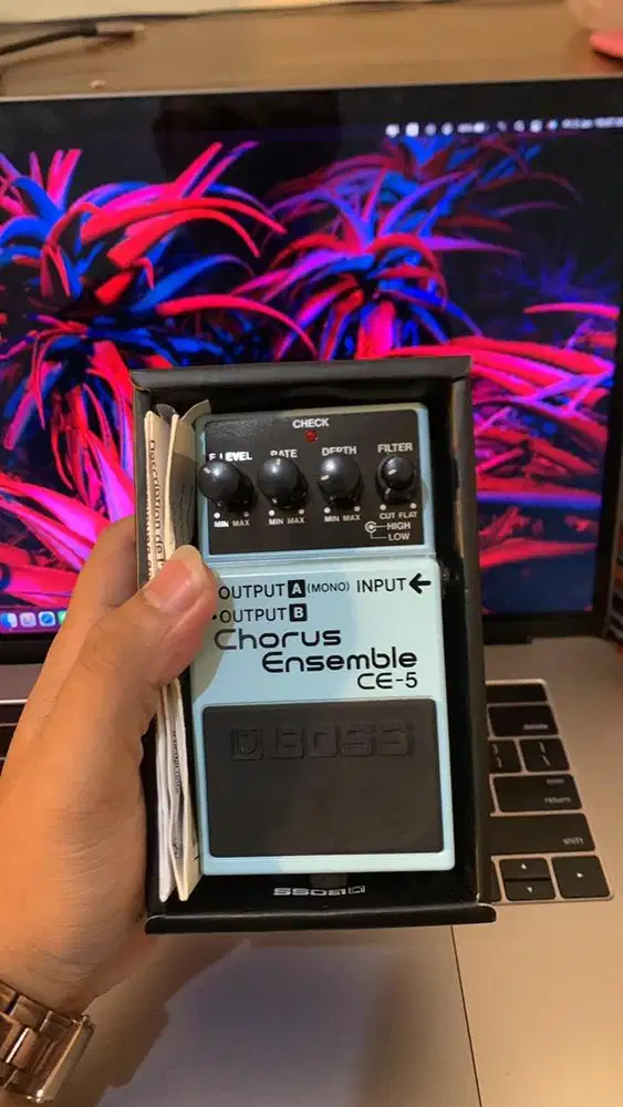 Boss Chorus Muluss !!!